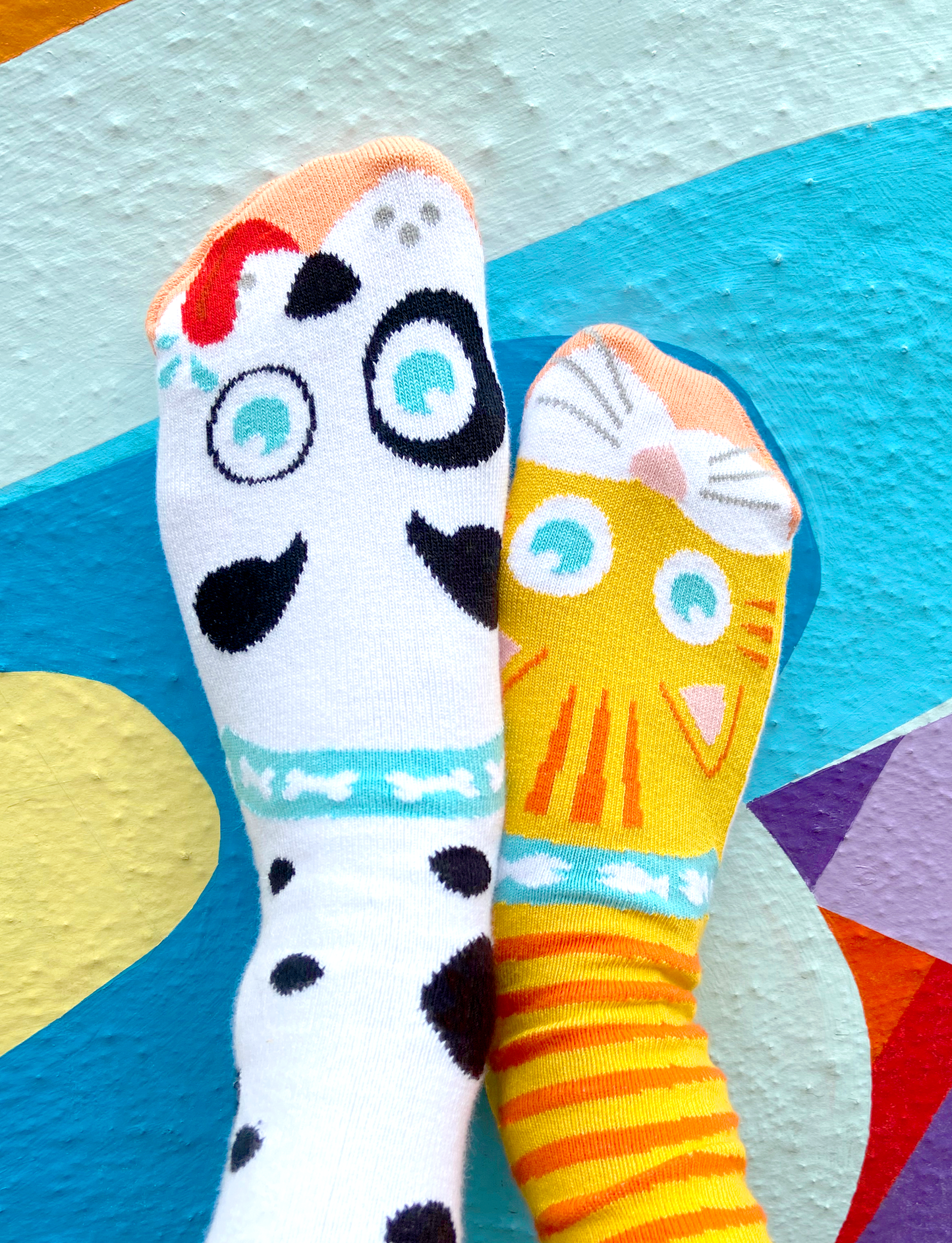 adult cats & dogs socks
