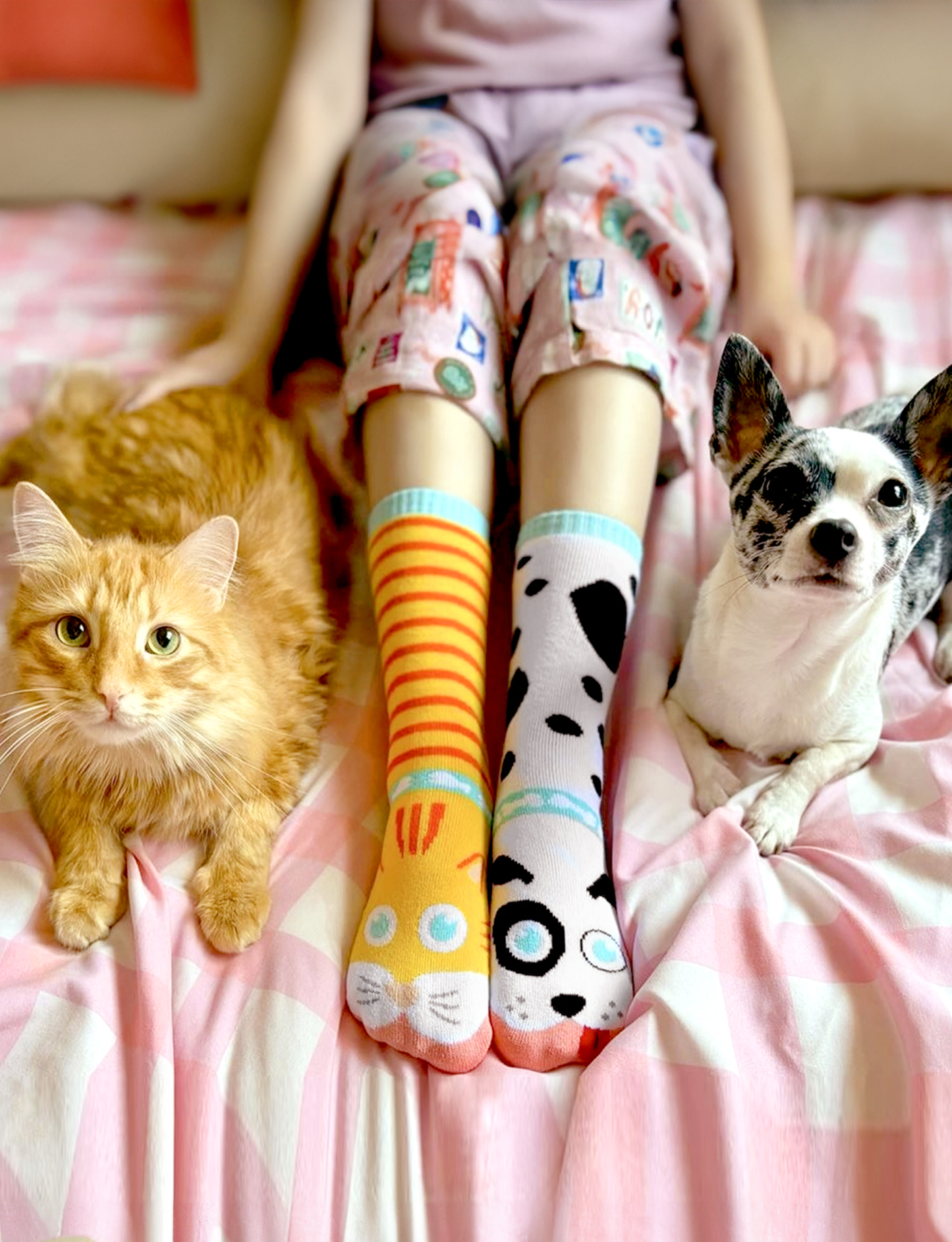 adult cats & dogs socks